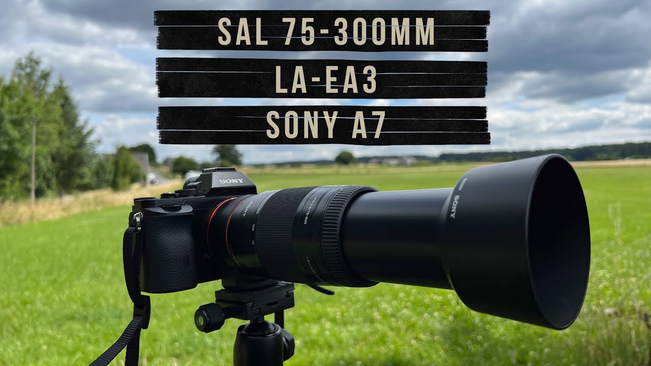 SAL 75-300 mm f4.5-5.6 & LA-EA3 Adapter & Sony A7 I Alternative to