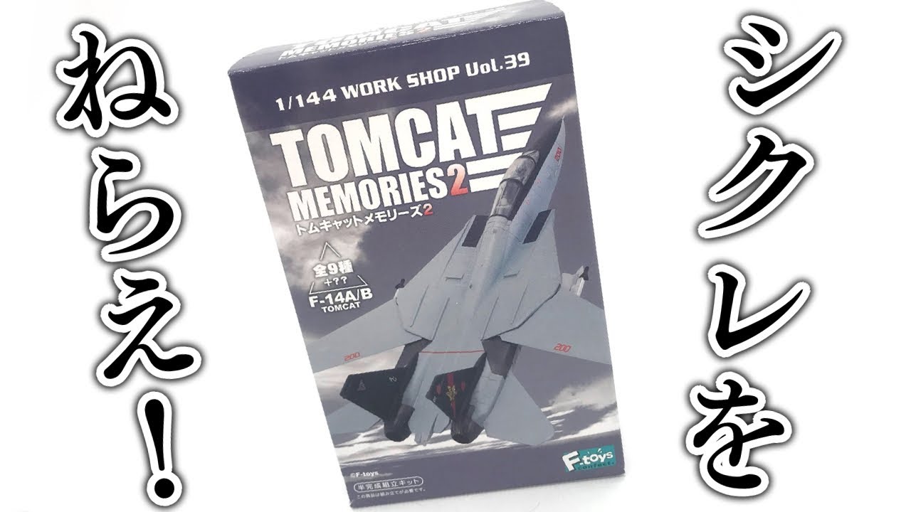 Aim for the Secret! 1/144 WORK SHOP Vol. 39 Tomcat Memories 2