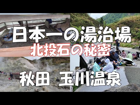 日本一の湯治場 玉川温泉】北投石の秘密！ #玉川温泉 #北投石 #日本一
