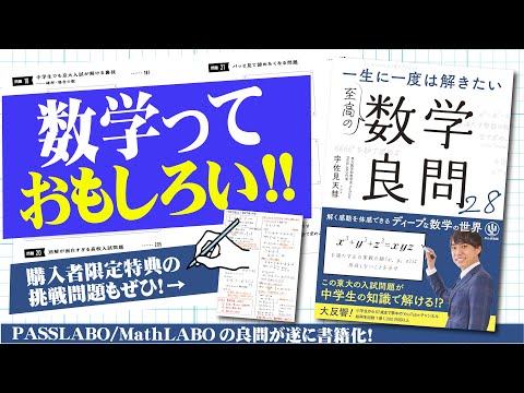 28 Great Mathematical Questions] has been published! (With bonus