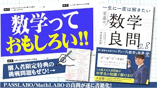 28 Great Mathematical Questions] has been published! (With bonus