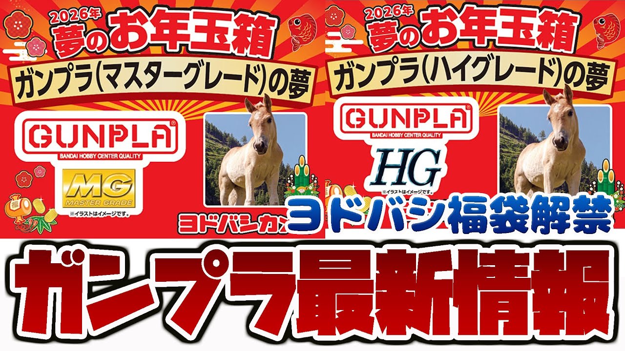 ガンプラ最新情報！ヨドバシのガンプラ福袋が抽選開始！今年はMG福箱と