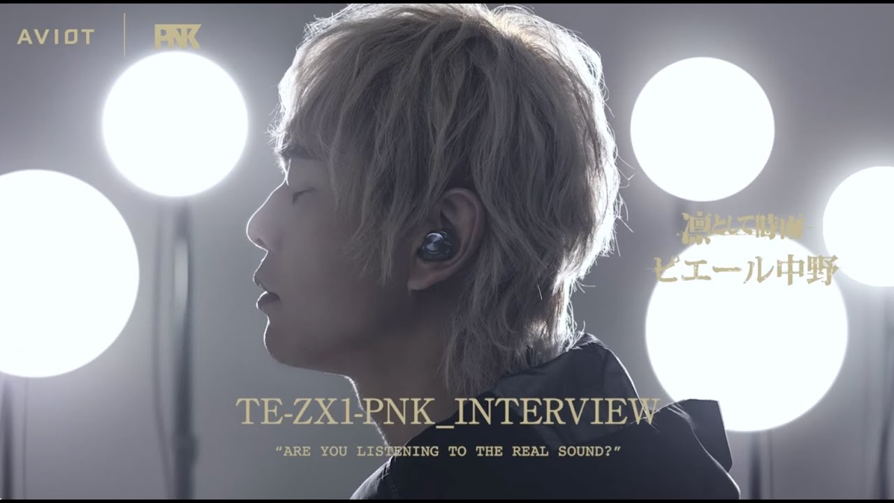 TE-ZX1-PNK 製品情報｜AVIOT