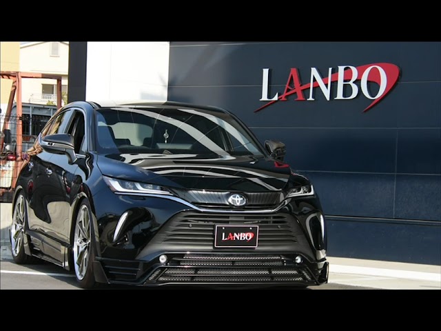 80ハリアー LEDデイライトキット点灯紹介 - YouTube