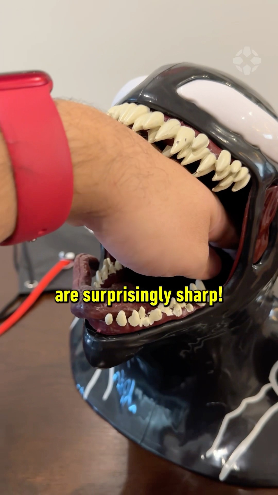 The Venom popcorn bucket - YouTube