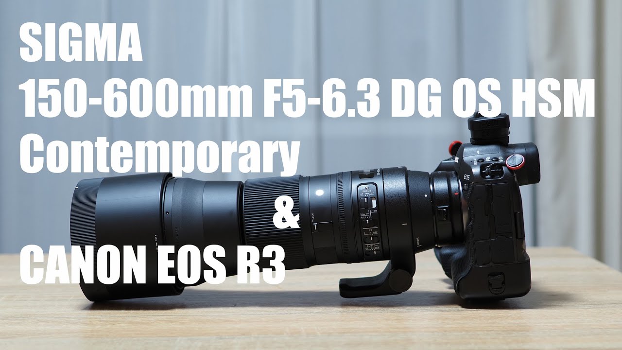 SIGMA150-600mm F5-6.3 DG OS HSMContemporary &CANON EOS R3を使った