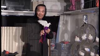 島田晴夫特別実技レクチャー「世紀の鳩」DVD (完売) - 明電工業