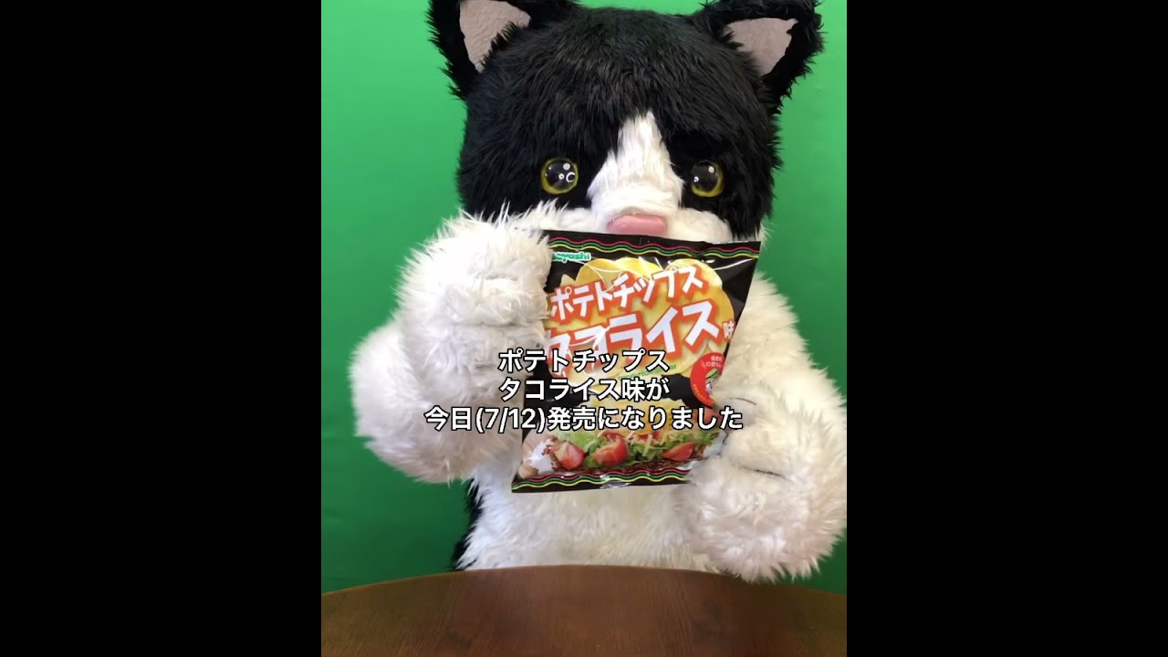 むぎ（猫） - YouTube