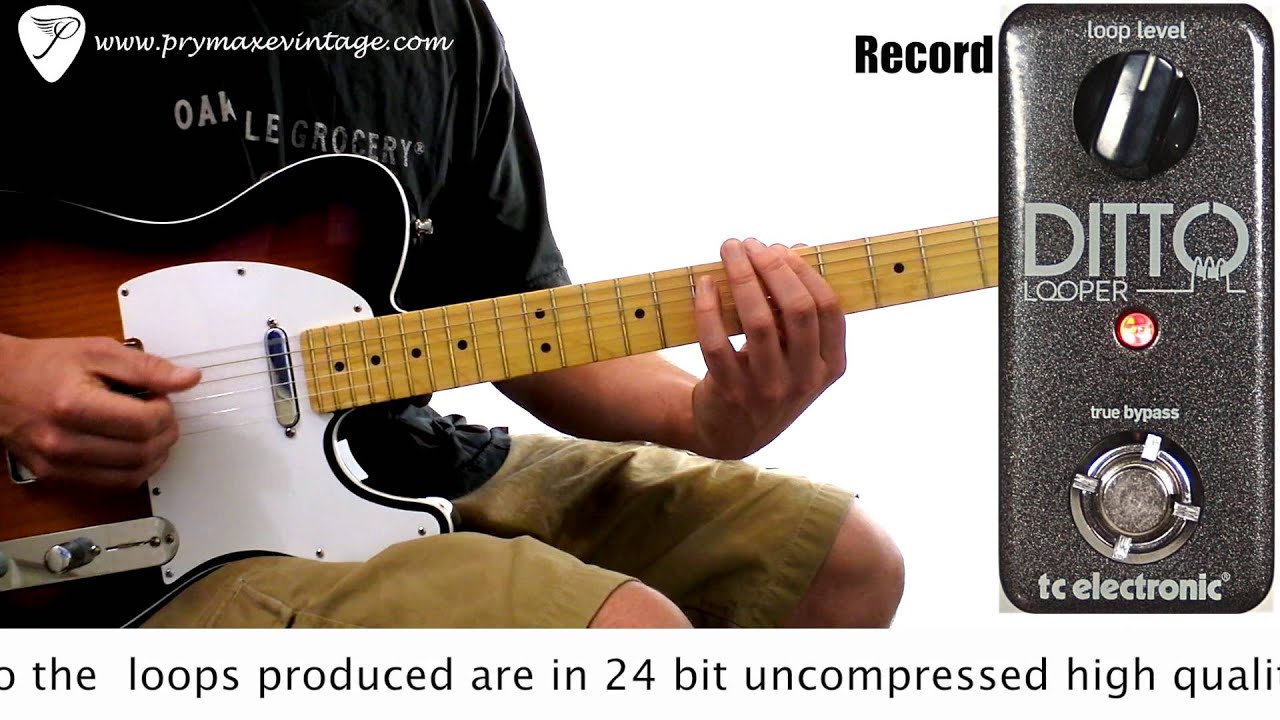 TC Electronic Ditto Looper」便利なミニサイズルーパーペダルを