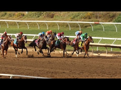 2025 Breeders' Cup Classic: Superstar Proves Best Dirt Horse in