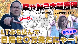 Let'sパチとも】#86【シーサ。】【玉ちゃん】この台は見た目以上にぶっ