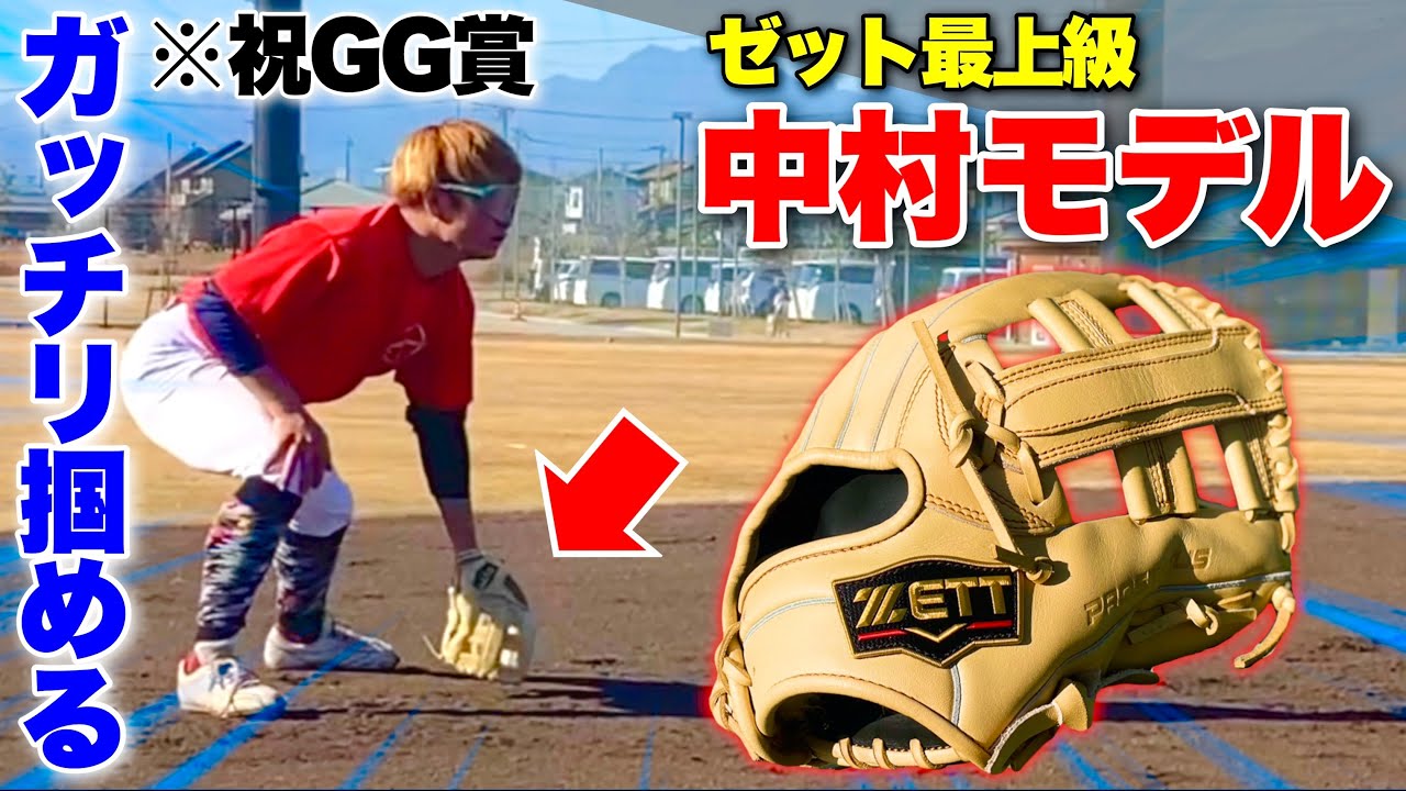 新しくなったプロステ