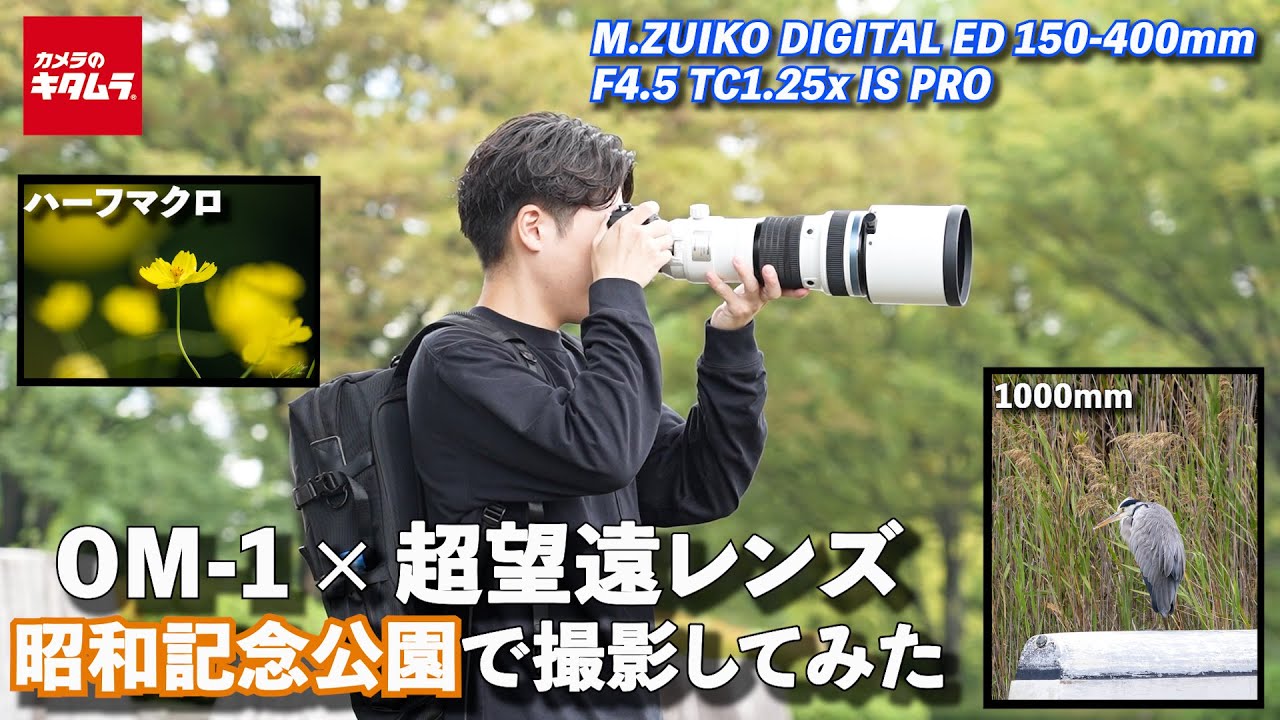 一足早く秋の気分】OM-1と超望遠レンズ使い昭和記念公園で撮影！野鳥