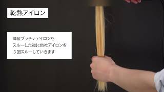 │2026年5月20日まで特別価格│サニープレイス MGプラチナ 輝髪(きらが