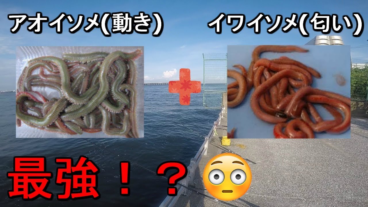 Ukishima Fishing Garden] Combining blue worms and rockworms