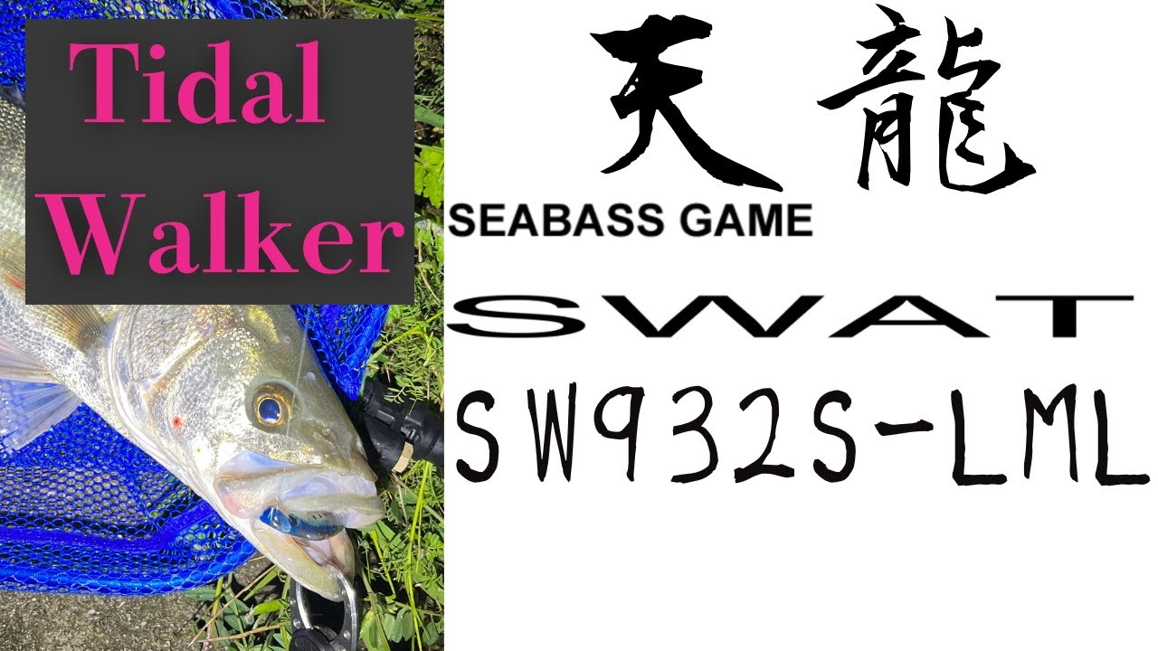 魅力のロッド】で夏リバーシーバス【天龍スワット932】こんなに良い