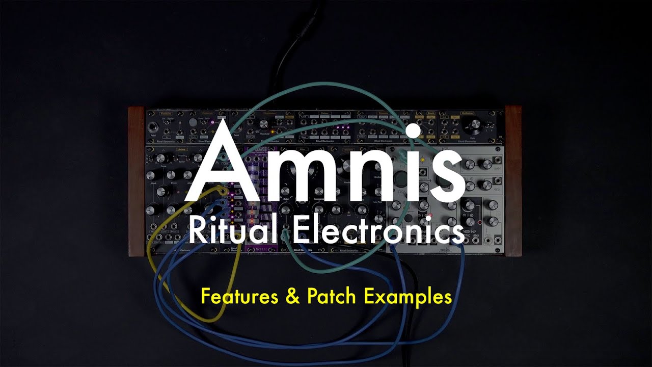 Ritual Electronics Amnis - MOD WIGGLER