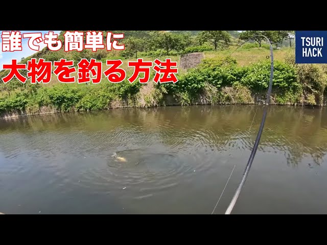 Recommended for beginners] How to easily enjoy big game fishing at