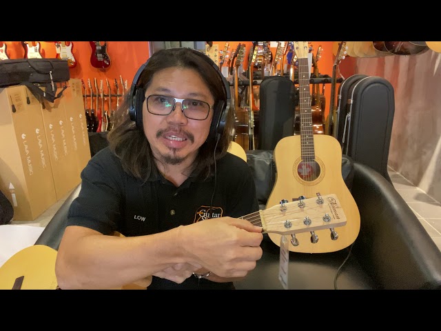 Review on Norman Guitars Expedition Series - YouTube