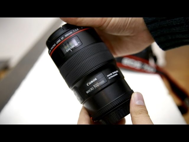 Canon 100mm f/2.8 'L' Macro IS USM lens review with samples (Full