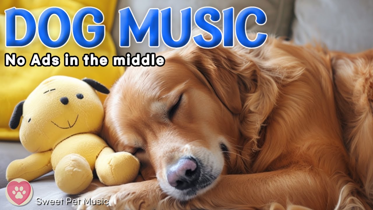 20 Hours of Relaxing Music for Dogs🦮🐶 Soothing & Soft Sleep