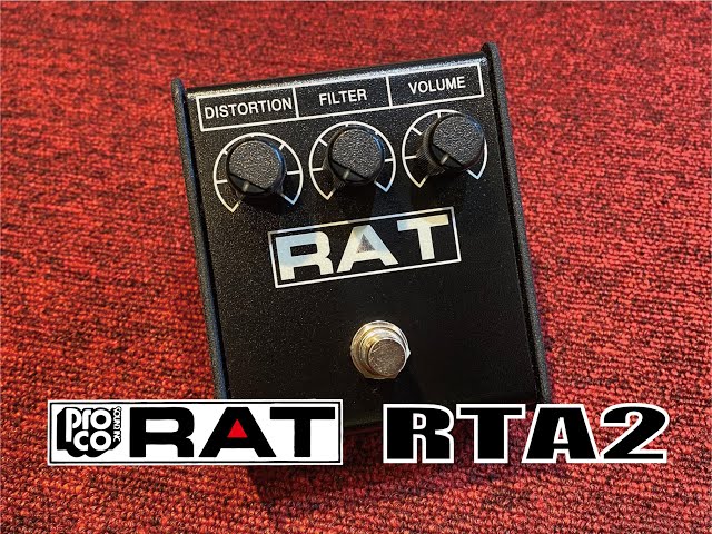 ProCoのRAT2を弾いてみた！ やっぱり、往年のディストーションは使い