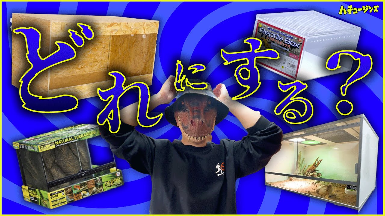 特注】爬虫類ケージ 804040 ガラス仕切り 配線穴右上下 特注】爬虫類