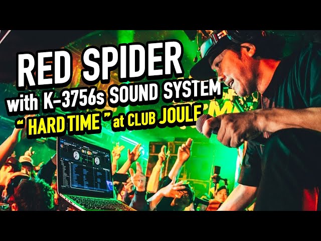 Reggae Fondation Night 