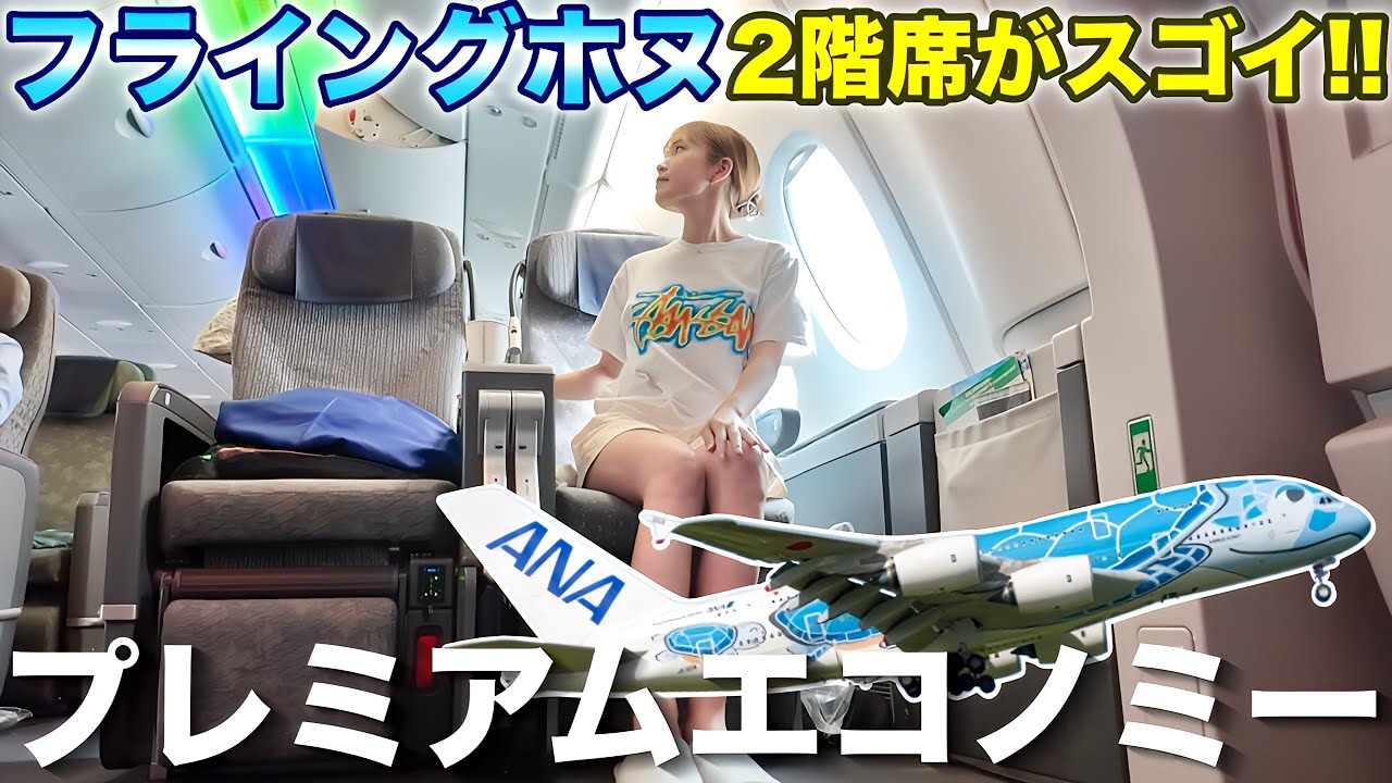 最新】2022年8月 ANA184便 A380「FLYING HONU(フライングホヌ