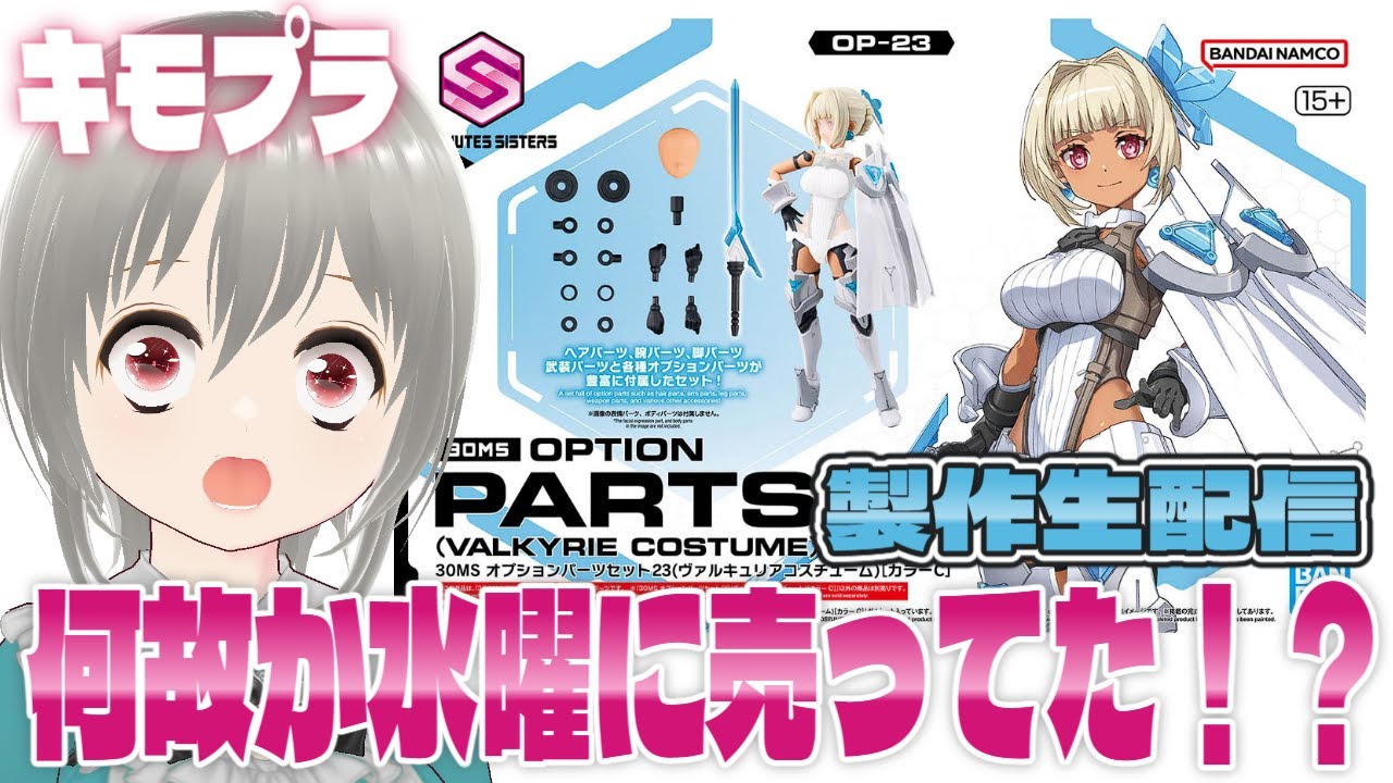 30MS オプションパーツセット23(ヴァルキュリアコスチューム)が偶然