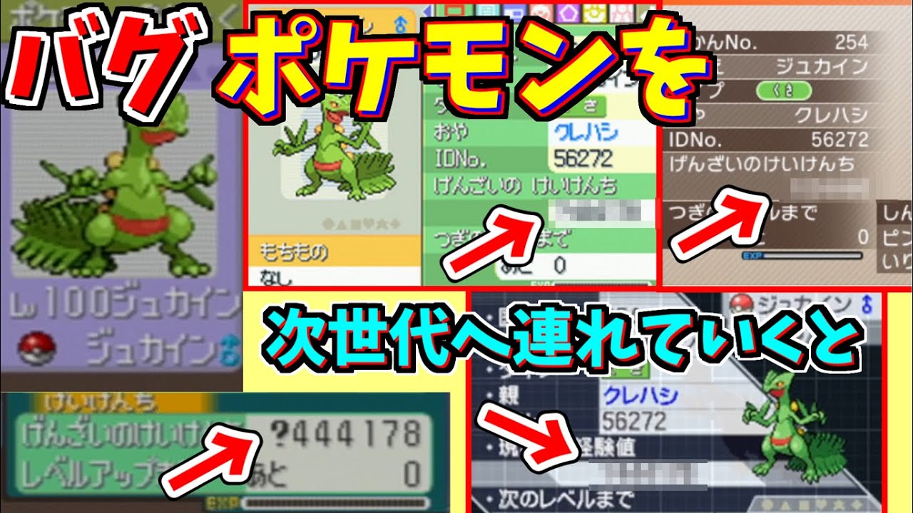 検証】数字がバグったポケモンを次世代に連れていくと. - YouTube