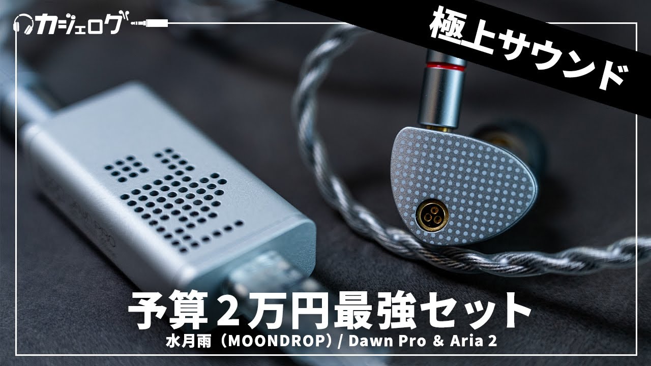 購入レビュー】予算2万円のコスパ最強セット 水月雨（MOONDROP）Aria 2