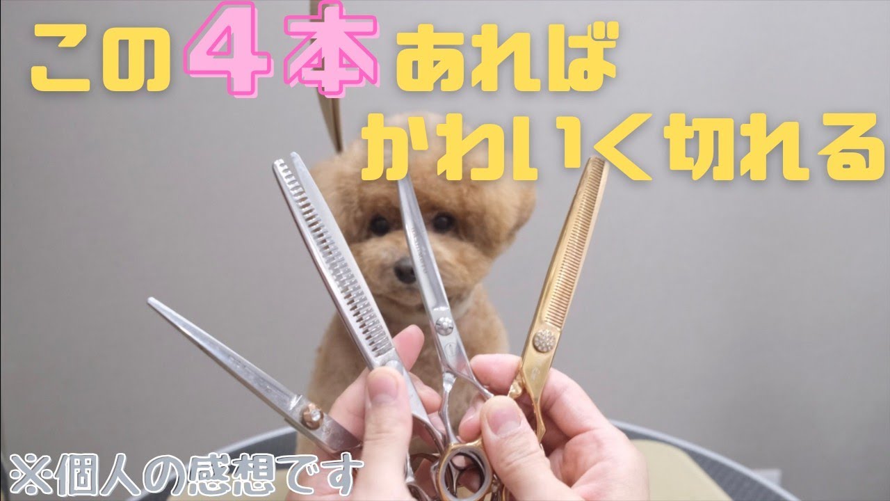 Recommended scissors] Perfect face cut with these 4 scissors