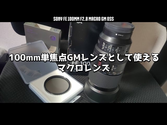 SONY FE 100mm F2.8 Macro GM OSS SEL100M28GM Review - Stance Nation