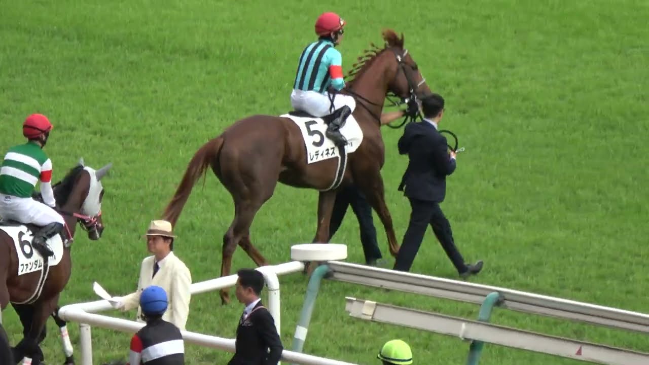 日本ダービー2025】本馬場入場で誘導馬そわそわ 現地映像 クロワデュ
