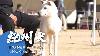 KISHU KEN : NIHON KEN HOZONKAI NIPPO Grand National 2025 令和7