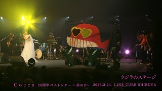 Cocco | Cocco 25周年ベストツアー 2022-2023 ～其の1、其の2、其の3