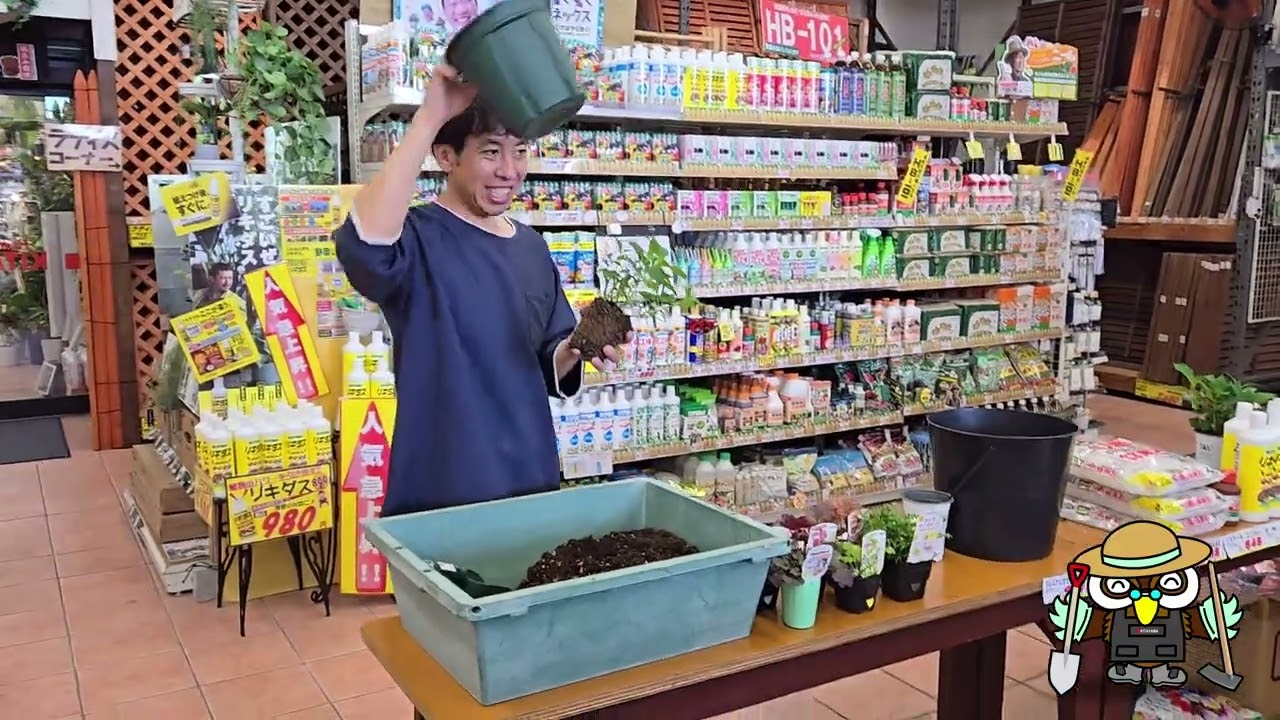 ゆるふわ園芸やっちゃんねるコラボ フルバージョン - YouTube