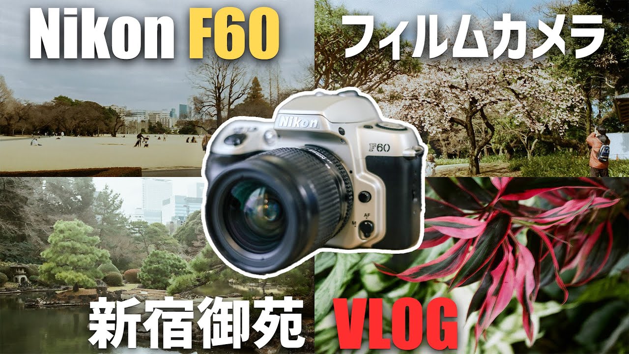 VLOG】フィルムカメラ Nikon F60を持って梅が咲く新宿御苑に行く - YouTube