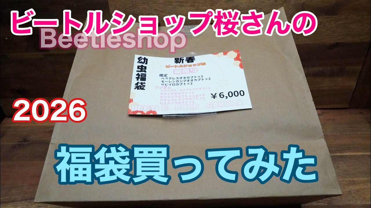 2026] I bought a lucky bag from Beetle Shop Sakura [Product
