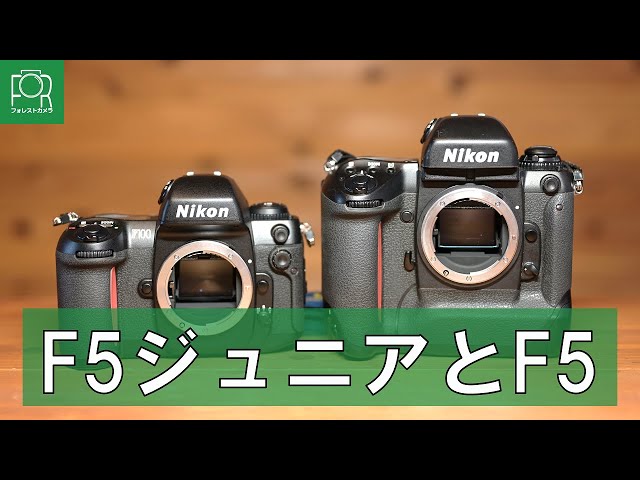 兄弟対決】Nikon F100とNikon F5を徹底比較！【AFフィルム一眼レフ