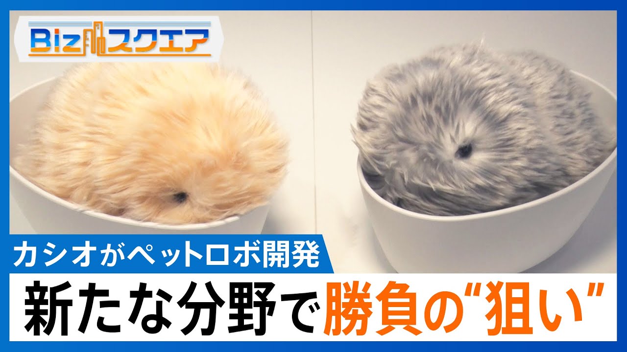 カシオ計算機がペットロボットを開発する狙い 機能価値から感性価値で
