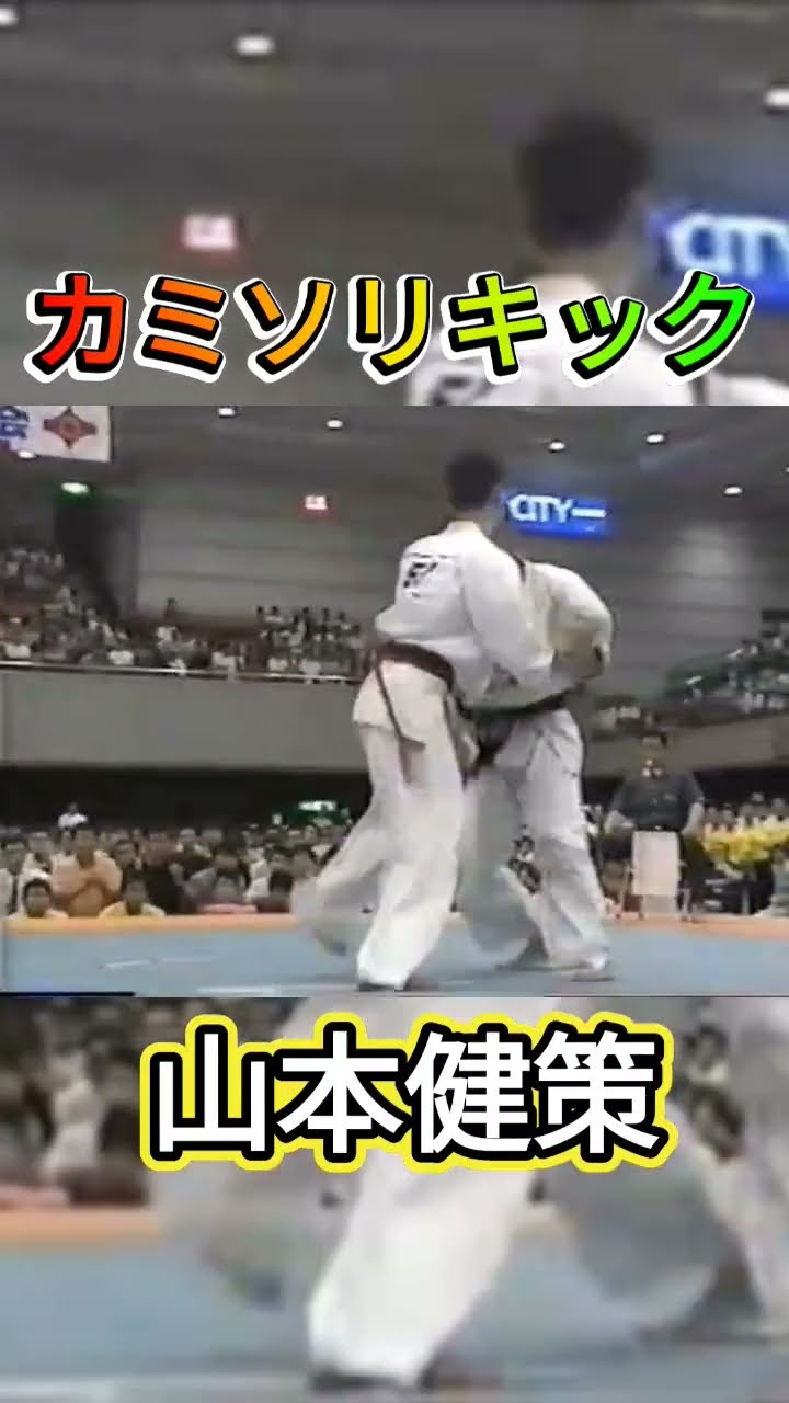 新極真会】カミソリキック！KOアーティスト 山本健策#新極真会#極真