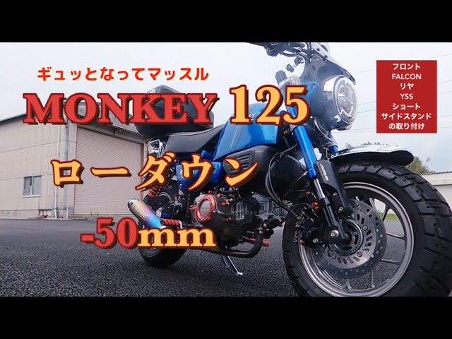 作業報告•モンキー125】MONKEY125 ローダウンでギュッとマッスル感向上