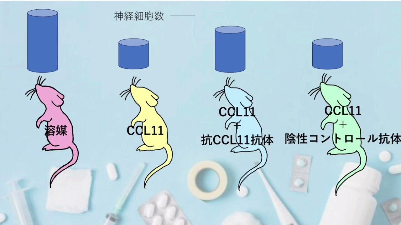滋賀医科大学 医学部学士編入学試験二次試験 過去問解説動画 - YouTube