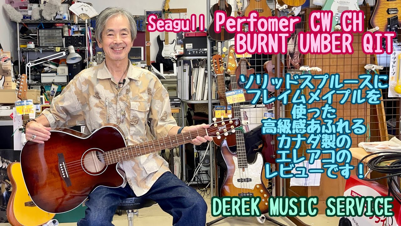 Seagull Perfomer CW CH 森林資源豊富なカナダ製のエレアコです