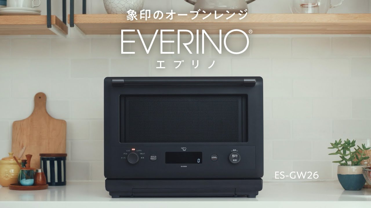 Introduction to the features of the EVERINO microwave oven (ES