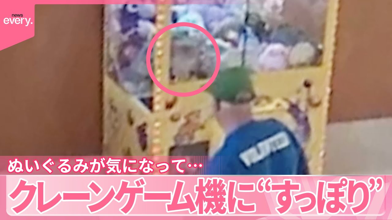 アメリカ】クレーンゲーム機に“すっぽり” ぬいぐるみが気になって