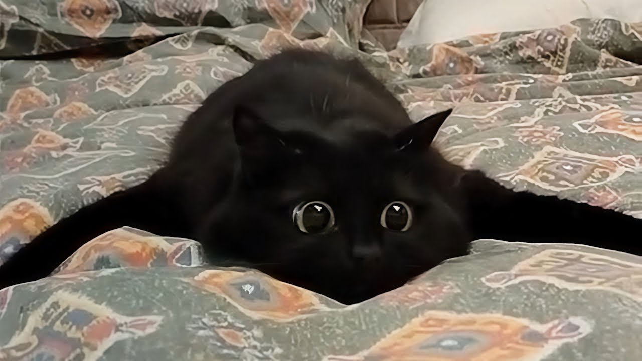 色鉛筆でハリーポッターを描いてみた - Drawing Harry Potter - YouTube