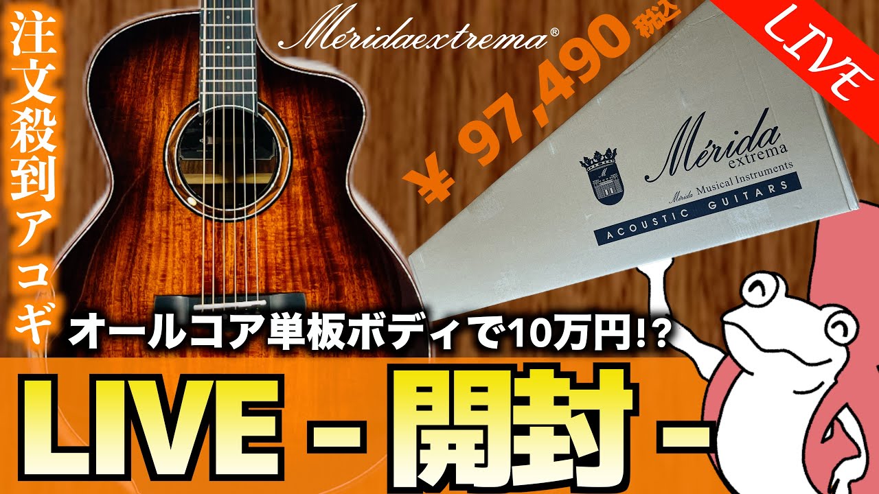 注文殺到】価格崩壊と話題の新作ギター『Merida / SCAR』開封